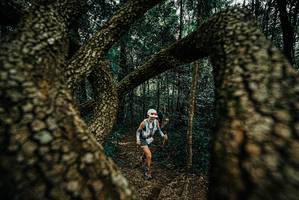 BIB: 
                            <button type="button" onclick="openModal(25672559)" class="btn btn-primary btn-sm float-right btn-popup" data-toggle="modal" data-target=".modal-high-quality">
                        <i class="fas fa-shopping-cart"></i> Add to Cart
                    </button>
                                            <button type="button" onclick="isThisMe(25672559, true)" class="btn btn-success btn-sm float-right btn-popup btn-isme hidden" data-toggle="tooltip" data-placement="bottom" title="นี่คือรูปของคุณใช่ไหม คลิกที่นี่เพื่อเอาเข้าอัลบั้ม">
                        <i class="fas fa-plus"></i> Add to album
                    </button>
                    <button type="button" onclick="isThisMe(25672559, false)" class="btn btn-warning btn-sm float-right btn-popup btn-isnotme hidden">
                        <i class="fas fa-ban"></i> Remove from album
                    </button>